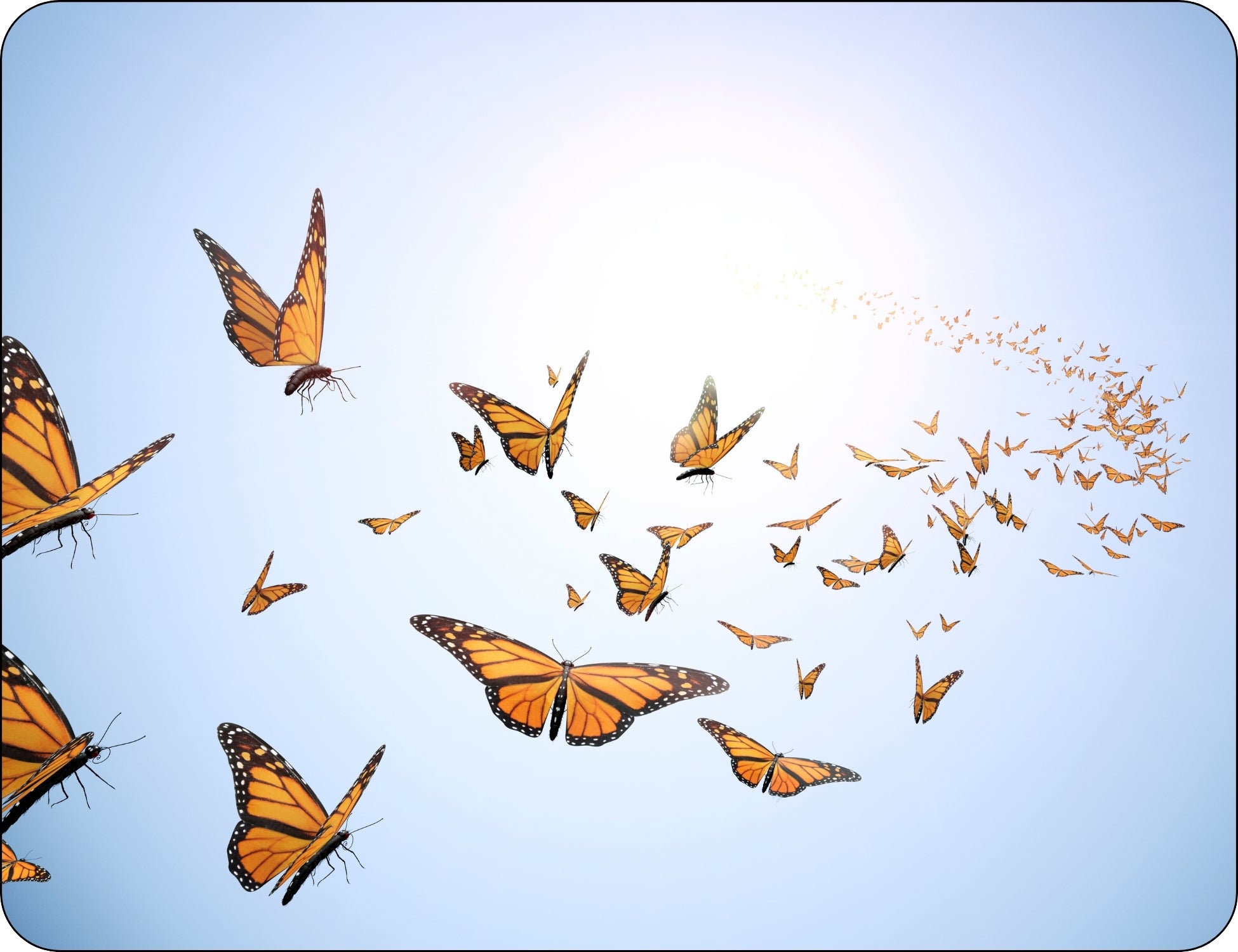 butterfly flying away clipart